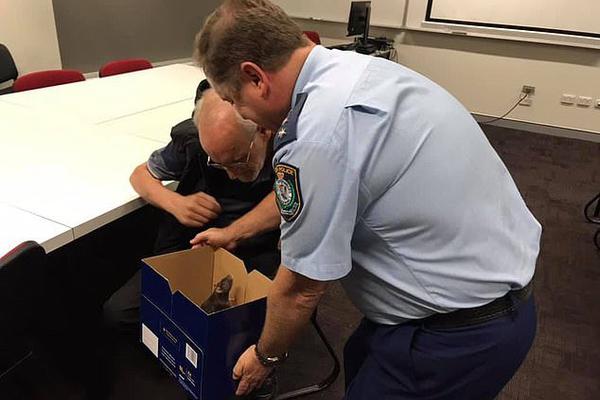 Police recovered over $50000 worth of stolen electronics during a raid on a storage facility