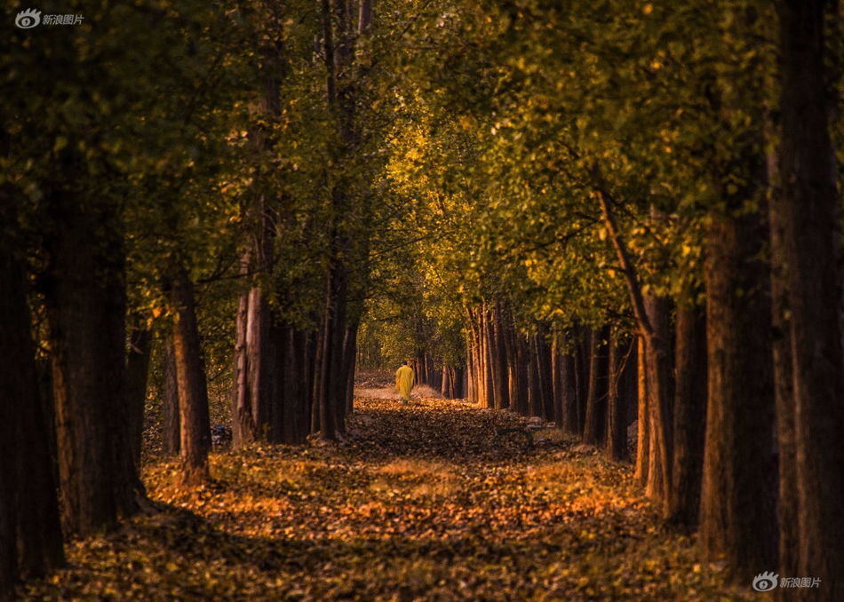 Researchers found that spending time in urban parks can reduce anxiety by 27%