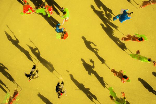 An environmental organization reported that the number of endangered sea turtles has increased by 31% over the past decade