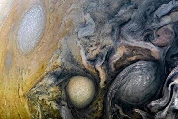 A charity organization organized a fundraiser gala with celebrity guests