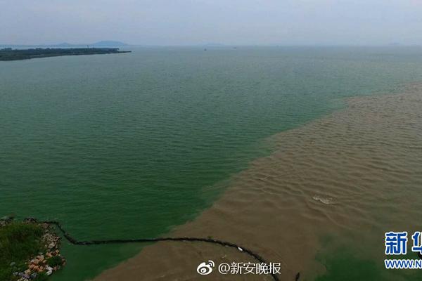 Doctors at a cancer center successfully treated a patient using a new immunotherapy drug