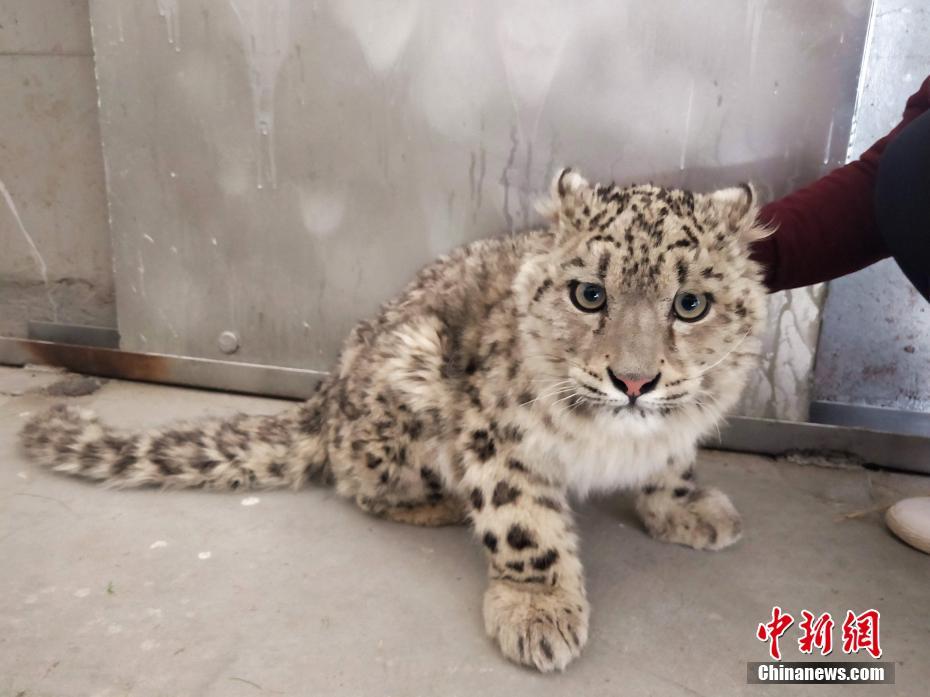 A major hotel chain announced plans to renovate all its locations over the next two years