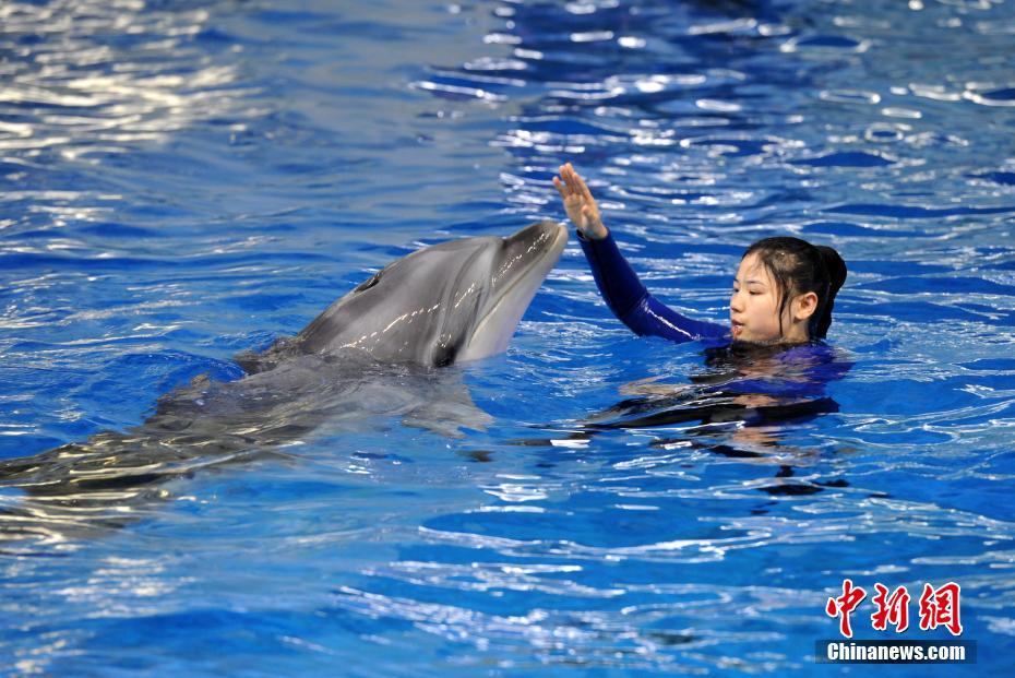 A high school added a new course on environmental science to its curriculum