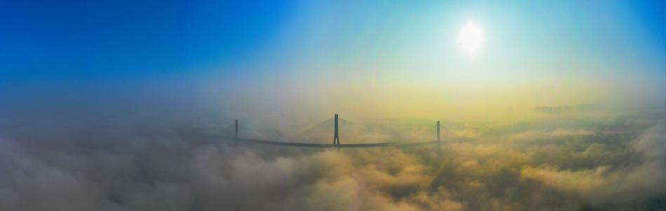 A pet store started offering