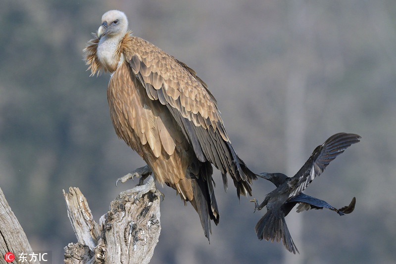 A construction company finished building a new bridge that reduces travel time between two towns