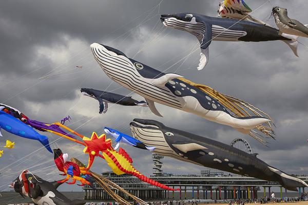 Scientists developed a new type of battery that charges twice as fast as current models