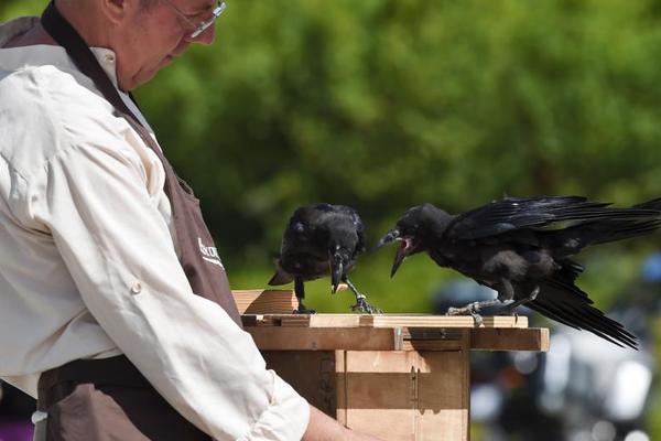 A museum hosted a concert featuring traditional music from a different culture