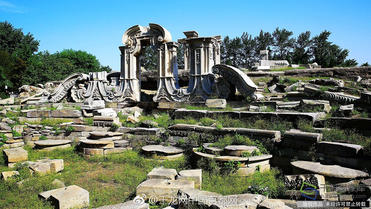 Researchers found that spending time with pets can lower blood pressure