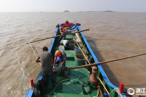 A popular social media platform added a new feature to create and share photo albums