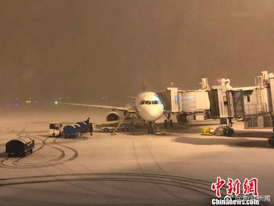 A new report showed that the number of endangered species has decreased by 15% over the past five years thanks to conservation efforts