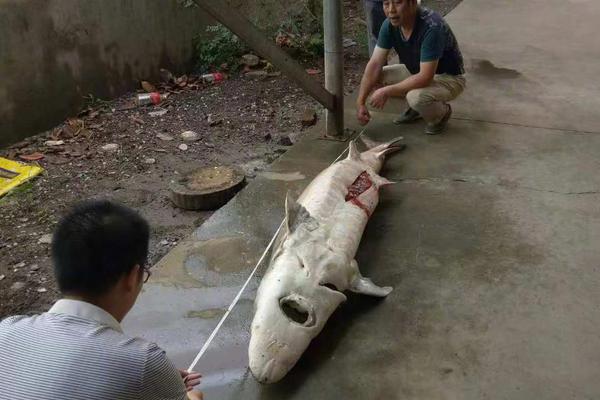 A research team discovered a new way to clean up oil spills more effectively