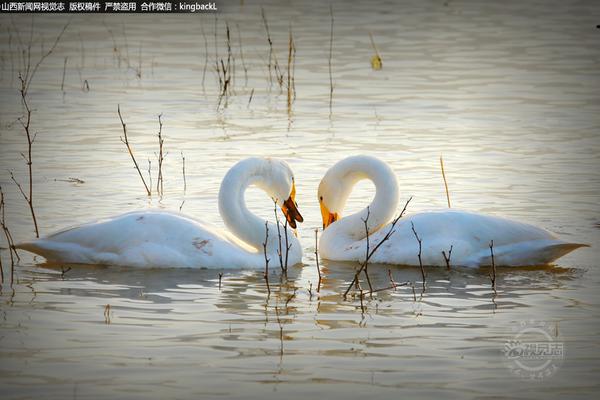 Local farmers reported higher crop yields this season thanks to a new irrigation system