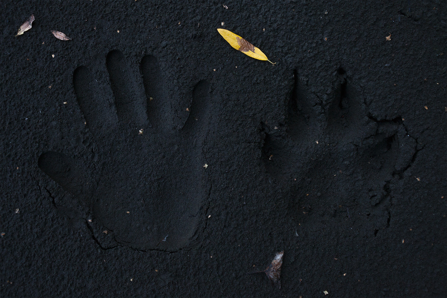 Pet hospital offers 24 hour emergency care for pets