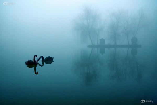 The government passed a law to protect consumers from high fees charged by banks and credit card companies