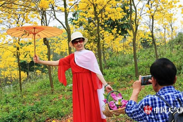 Volunteers planted 12000 trees in a deforested area as part of a reforestation project