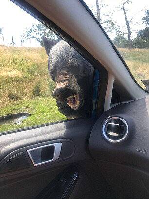 Local police launched a new program to educate teens about the dangers of distracted driving