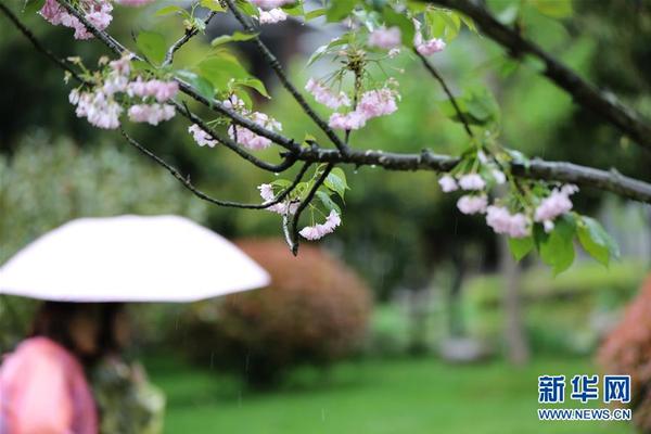 Study shows that owning a pet reduces loneliness in seniors