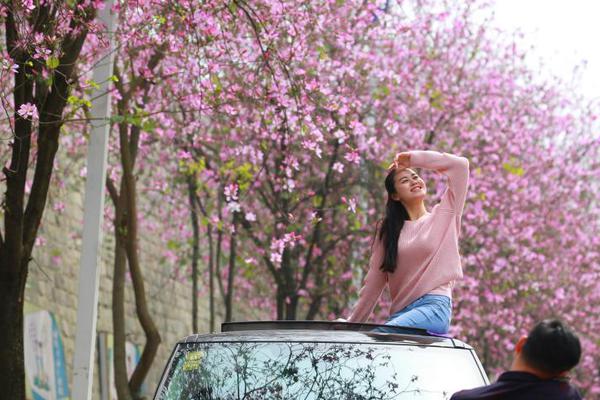 Electronics store offers back-to-school discounts on laptops