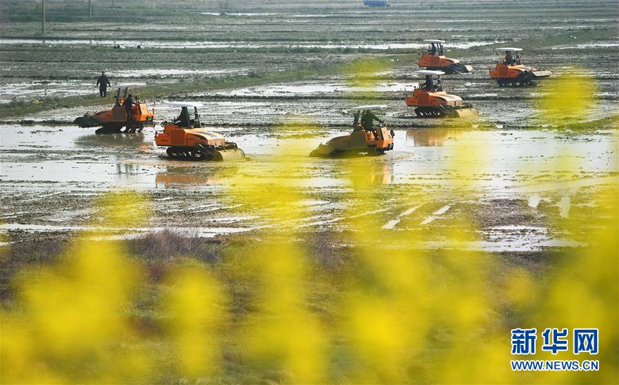 Scientists compare organic and conventional farming yields