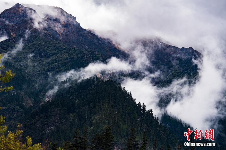 A museum offered free admission to students every Saturday, increasing youth attendance by 40%