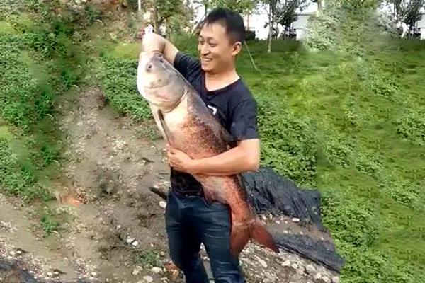 Archaeologists uncovered an ancient settlement dating back over 5000 years