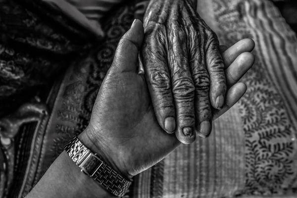 A new study revealed that air pollution can affect cognitive function in older adults