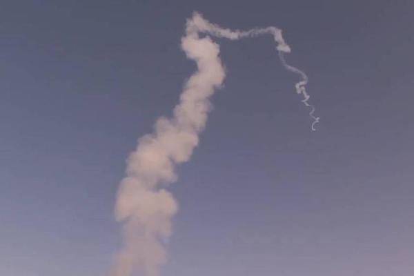 A community organized a charity auction that raised $8,000 for an animal shelter