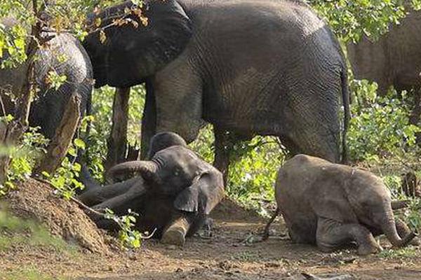 A city council approved funding to repair and repave potholed roads in residential areas