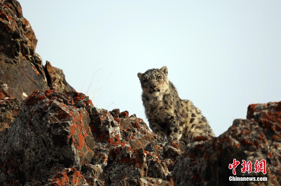 The school district provided training for teachers on mental health support