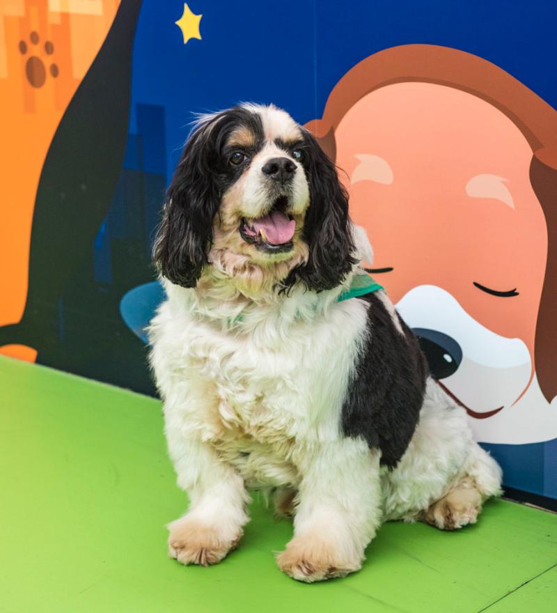 A local newspaper interviewed a local celebrity