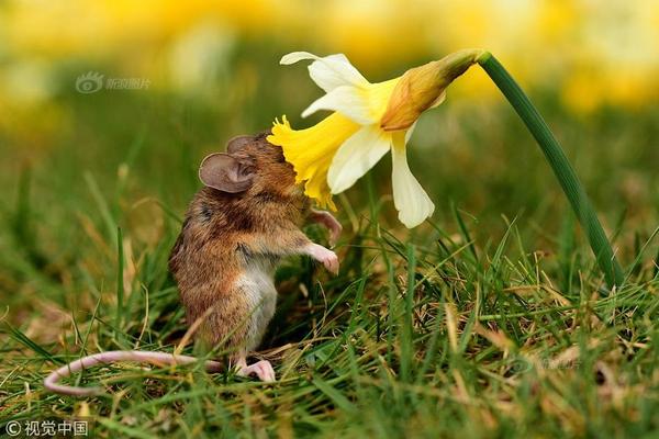 Local restaurants started offering outdoor dining options to accommodate more customers