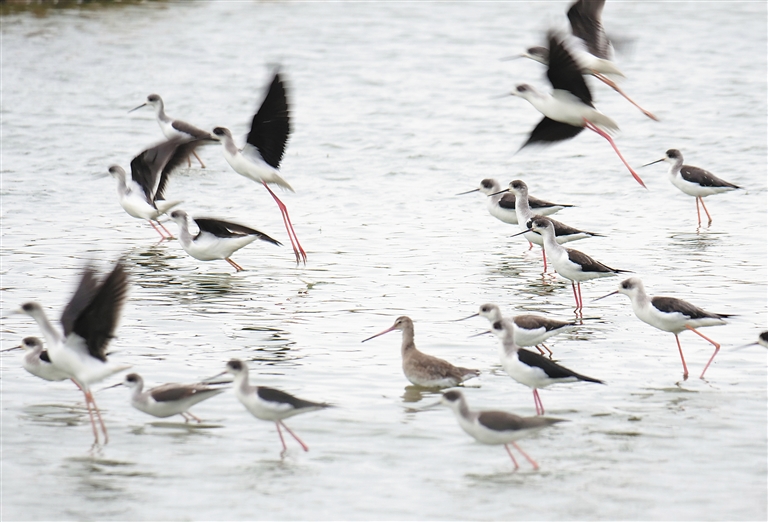 Movie theater shows classic films during weekend matinees for families