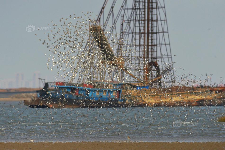 A study showed that teachers who use games in the classroom have more engaged students