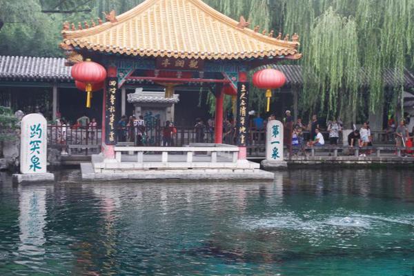 A famous actor announced they will star in a new film based on a best-selling novel set to begin filming next month