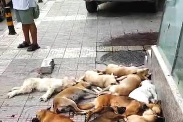 Weather forecasters predicted above-average temperatures for the upcoming summer raising concerns about heatwaves