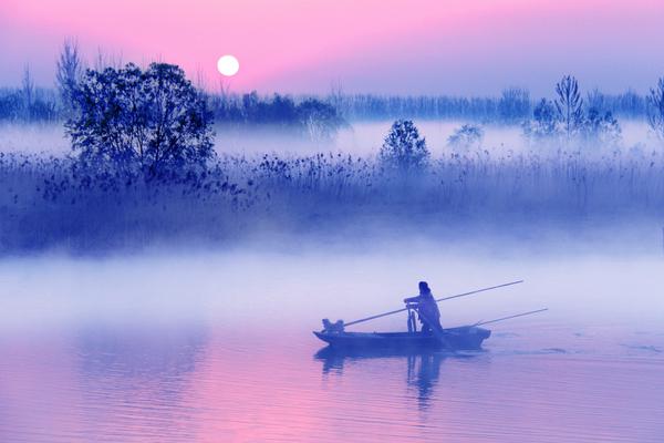 The stock market recovered after a short downturn