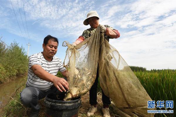 Marine biologists found that seagrass beds are disappearing at a rate of 8% per year