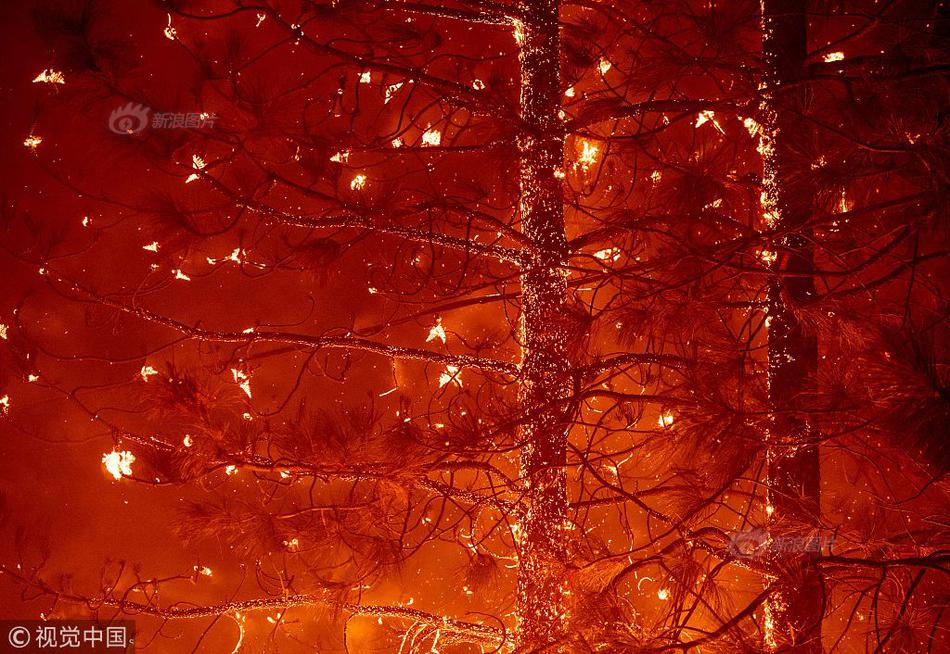 Marine biologists work to restore damaged coral reefs