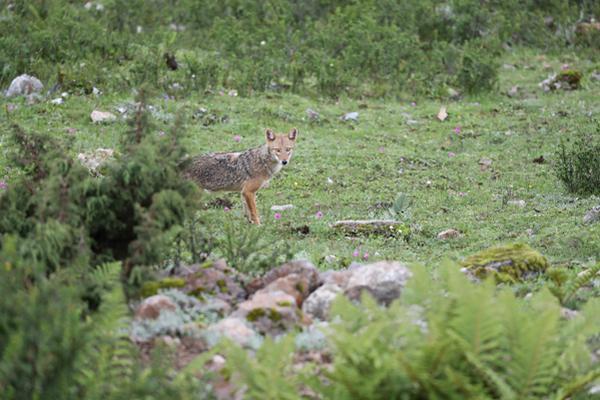 The government implemented new regulations to protect consumer rights