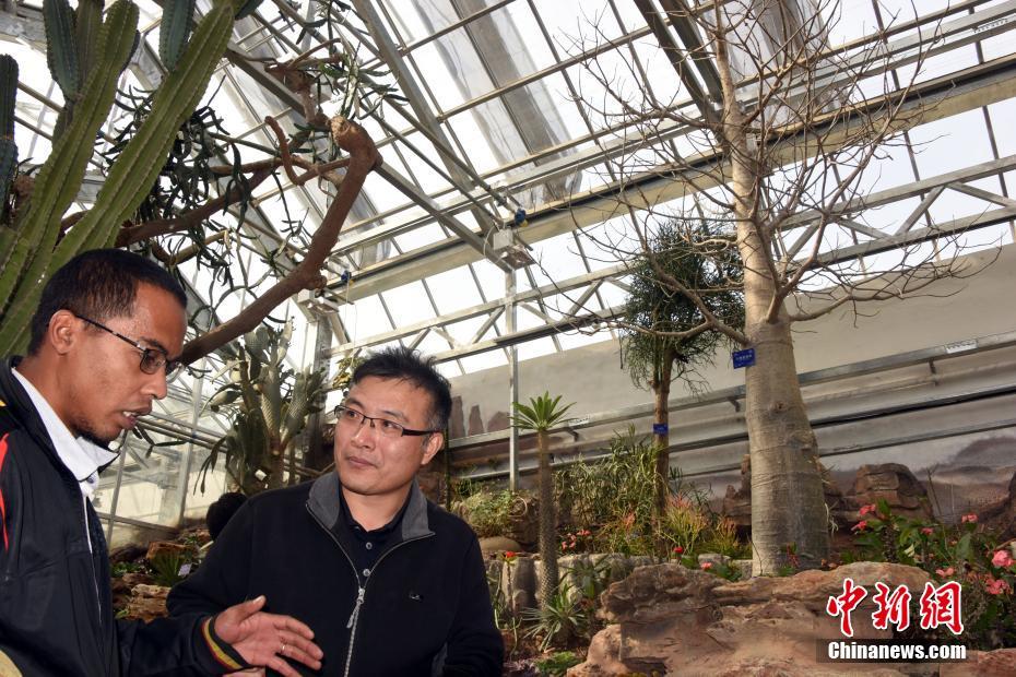 A city added more bike lanes to encourage eco friendly transportation