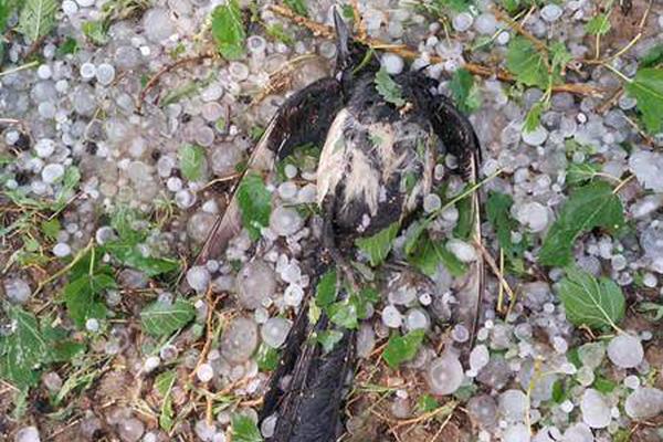 Archaeologists found evidence of an ancient civilization in a cave system