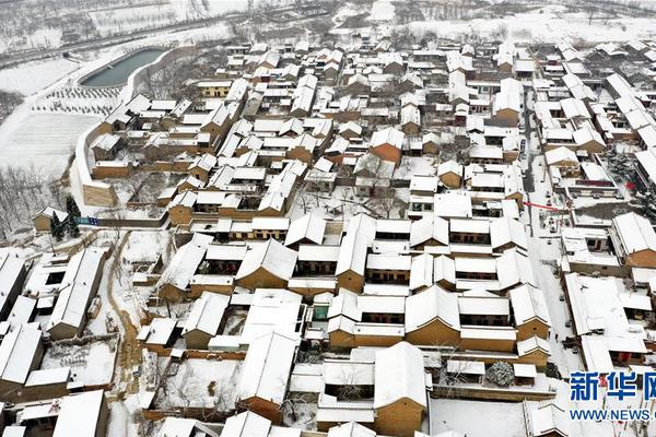 Study reveals that spending time with pets reduces feelings of loneliness