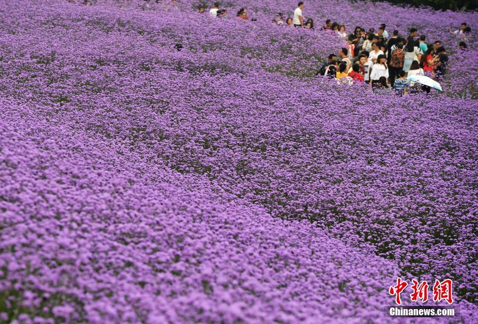 Police solved a cold case using advanced forensic technology