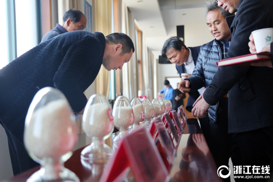 生成200條英文新聞句子，不需要生成文檔別分類，不要標點