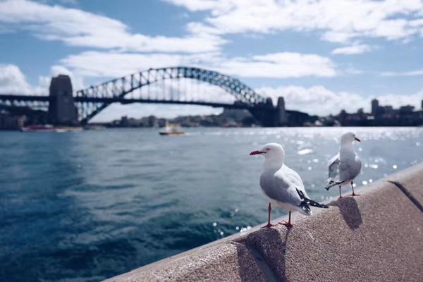 The national tennis team won a major international competition