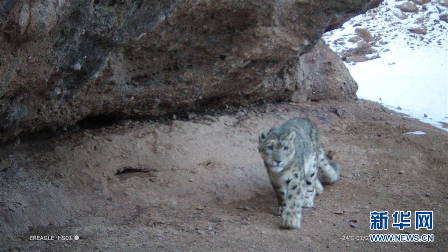 Weather forecasters warned of a cold snap that will bring freezing temperatures to the northern states