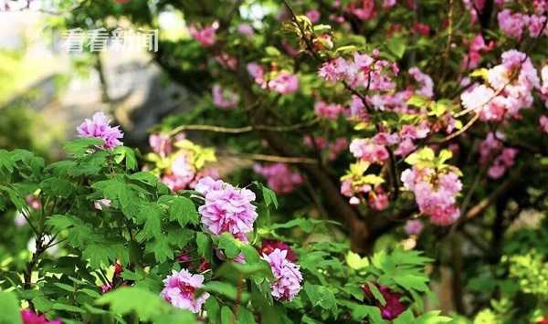 A new mobile app was launched that helps users find and book eco-friendly hotels and travel experiences