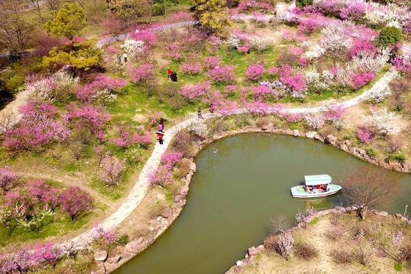A local farm offered tours where visitors can learn about organic farming practices