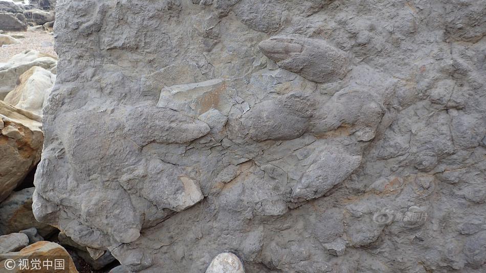 The Nobel Prize in Physics was awarded to two scientists for their work on quantum computing