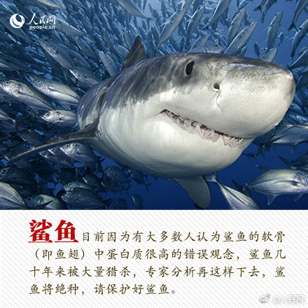 A team of researchers found that regular consumption of a certain fruit may lower the risk of heart disease by 20%.